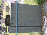 image of grave number 785751